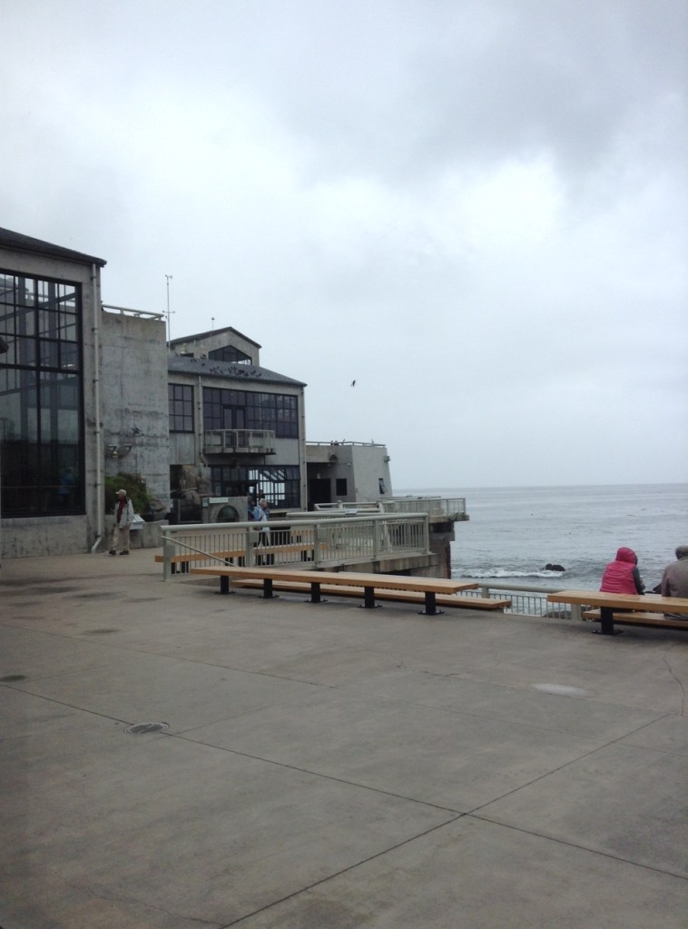 photo 1-2