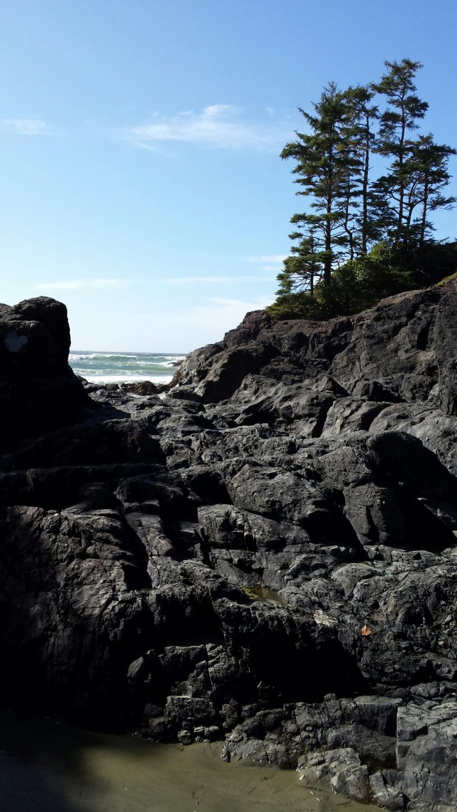 20151002_134050_resized