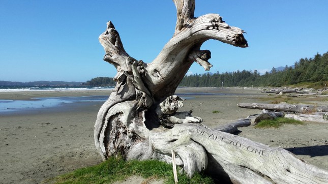 20151002_145625_resized