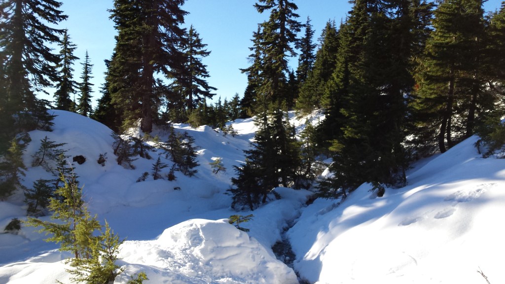 20151121_094951 (1)
