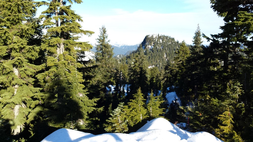 20151121_101036 (1)