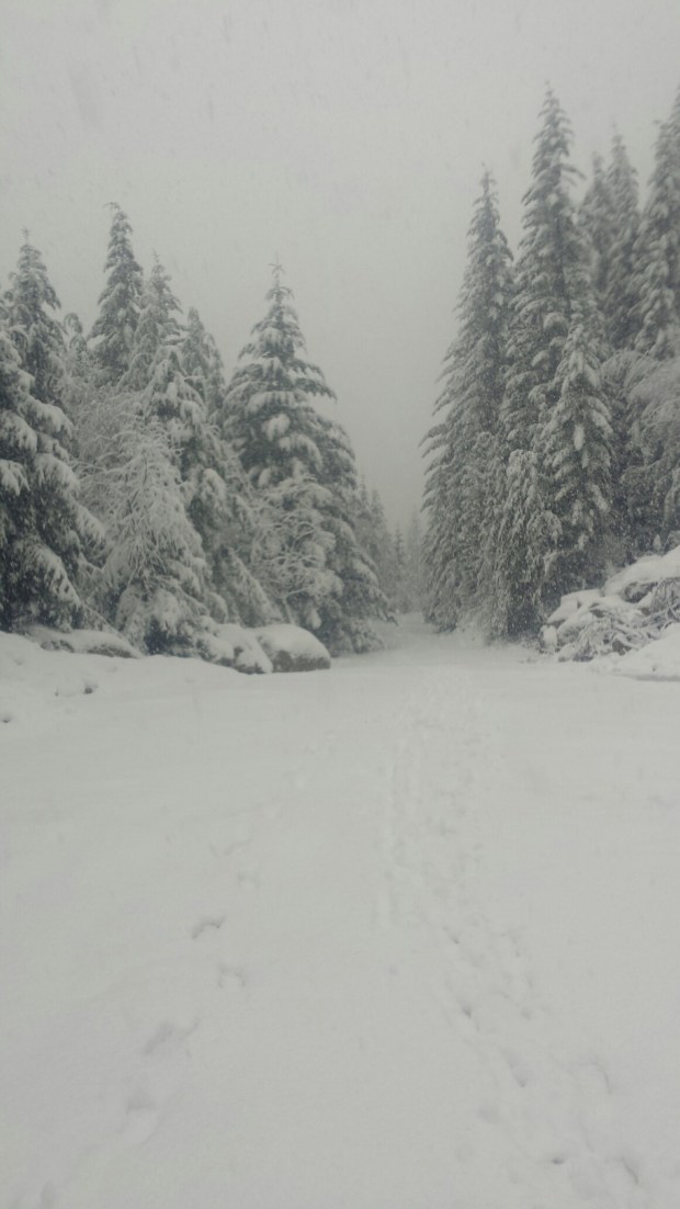 20151205_122217_resized