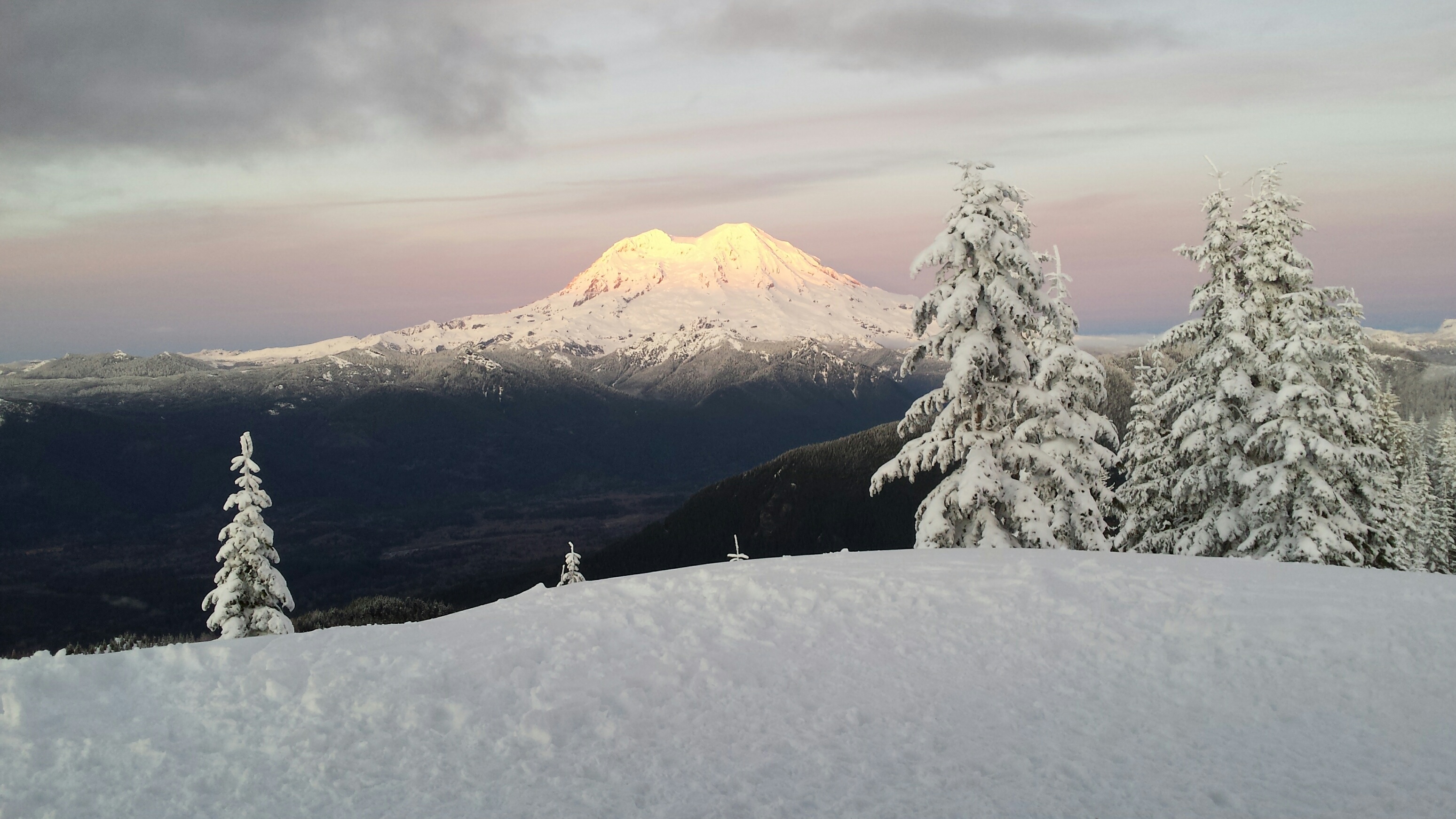 Rainer_2