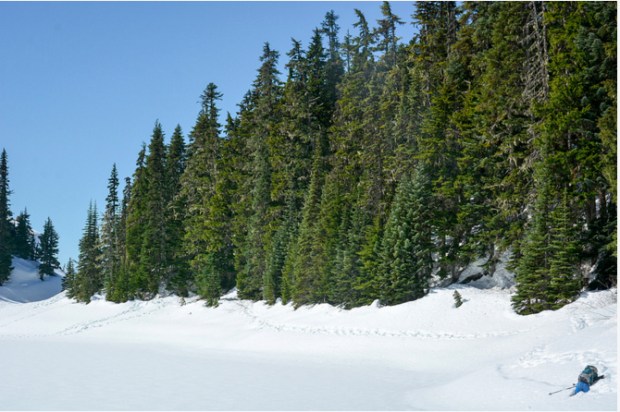 A hike to Lesser Garibaldi Lake in Garibaldi Provincial Park, Squamish-Lillooet Regional District, B.C. April 2, 2016. Photo credit: Stephen Hui. Copyright (c) 2016 Stephen Hui. stephenhui.net/