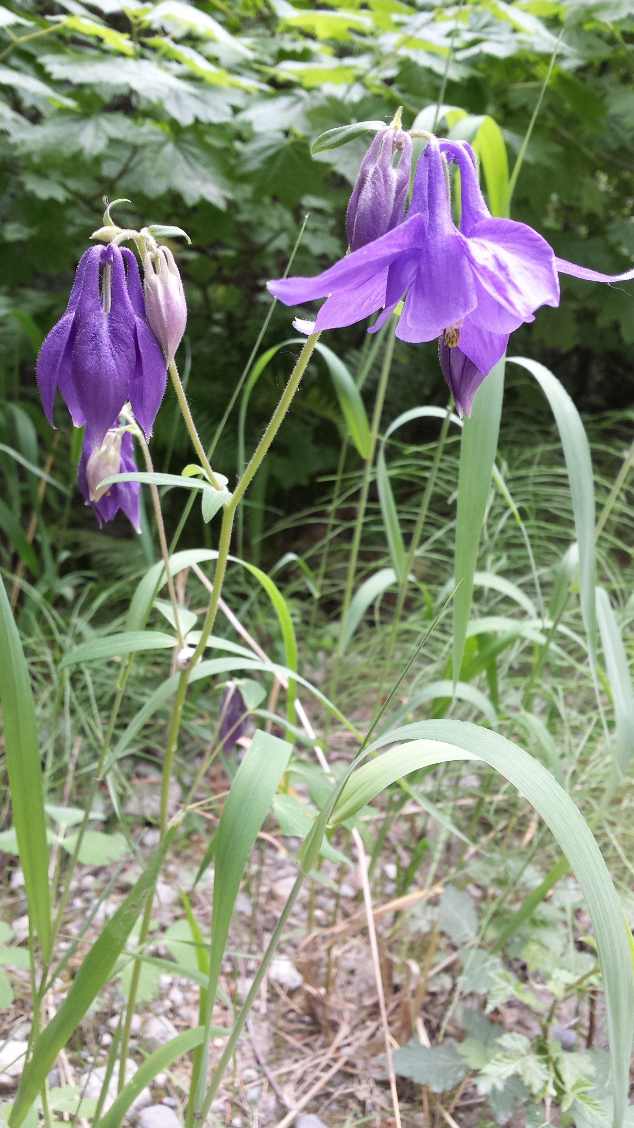 20160514_144852.jpg