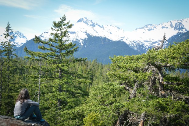 27161987075_32ba96898a_k (1)