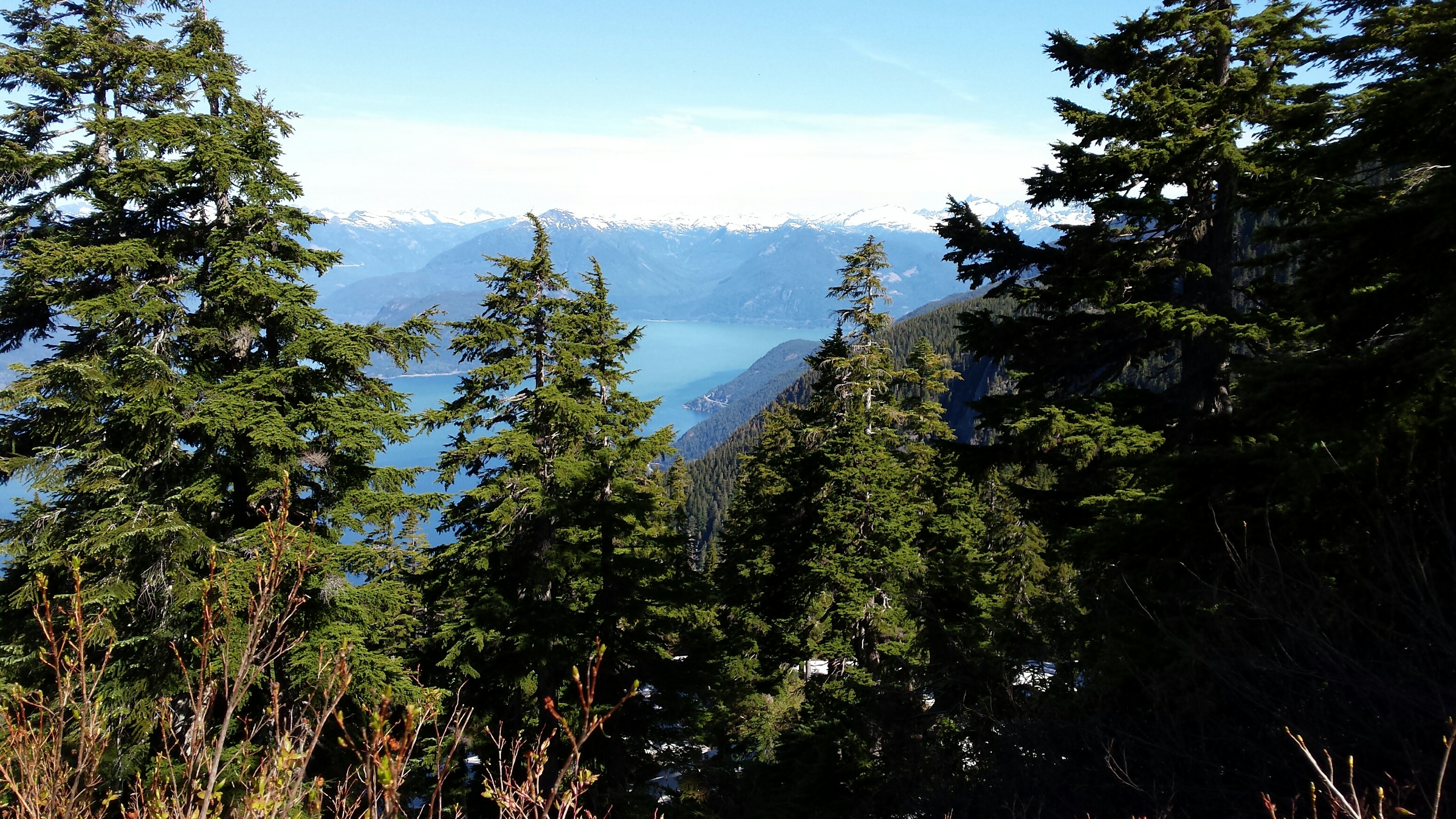 20160604_094334_resized