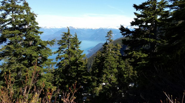 20160604_094334_resized