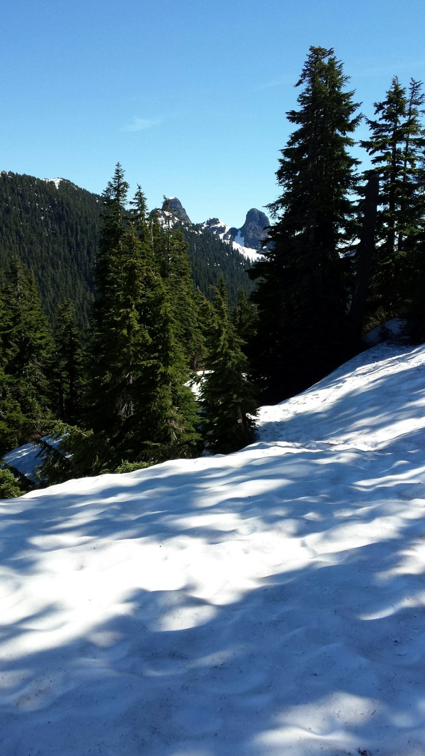 20160604_094958_resized (1)