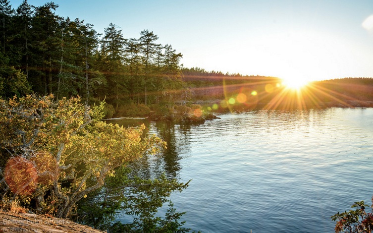 beaverpoint copy