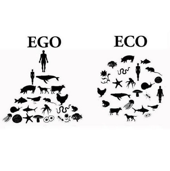 ego copy