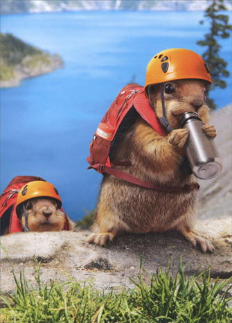 cd3541-squirell-climbers-birthday-card