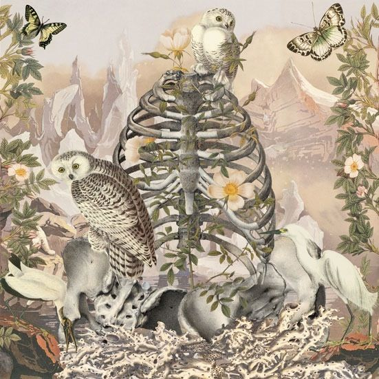 ebccf74d54b985354e83d14991b2fa11