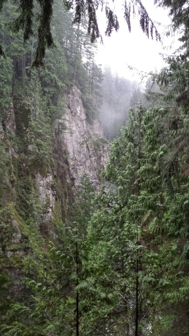 20161113_084929_resized