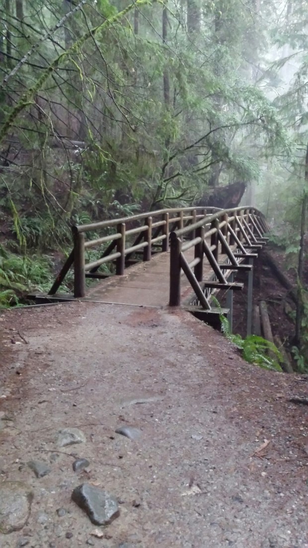 20161113_085429_resized