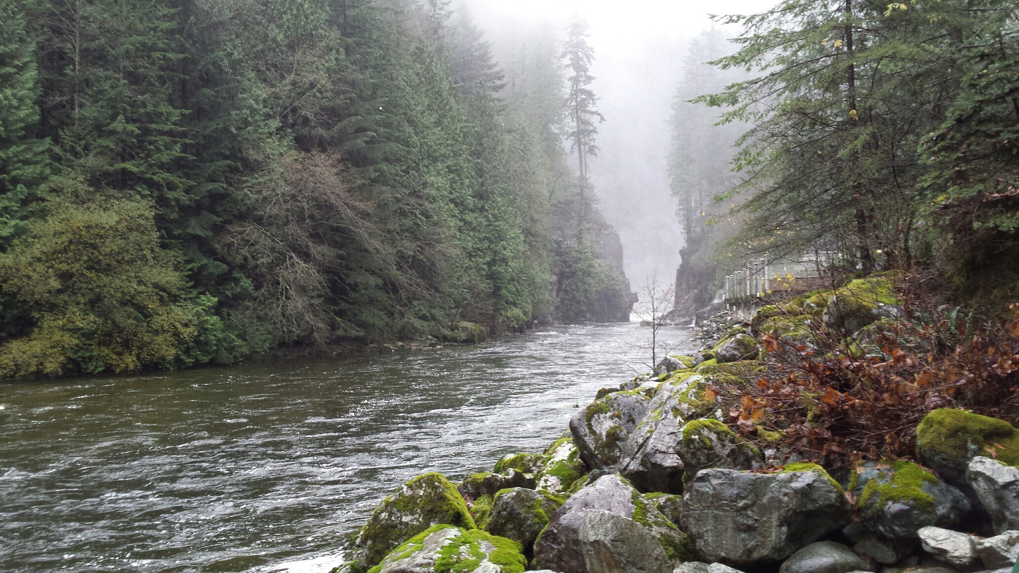 20161113_095424_resized