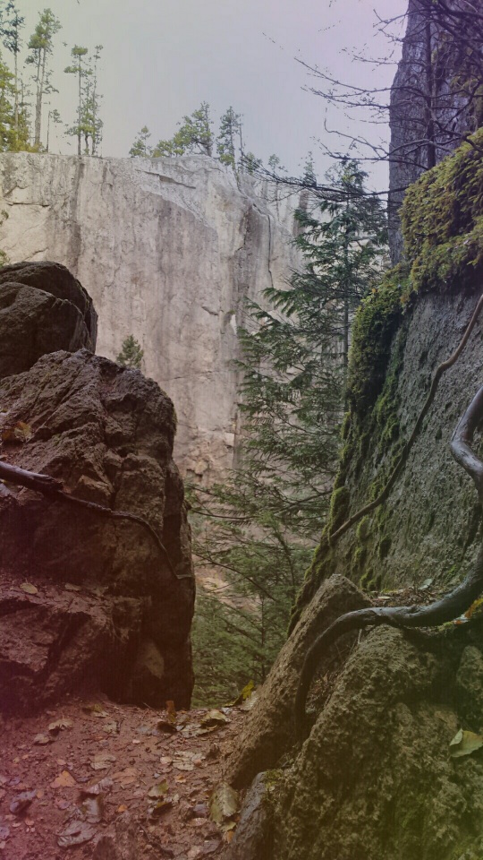 20161114_181502_resized-copy