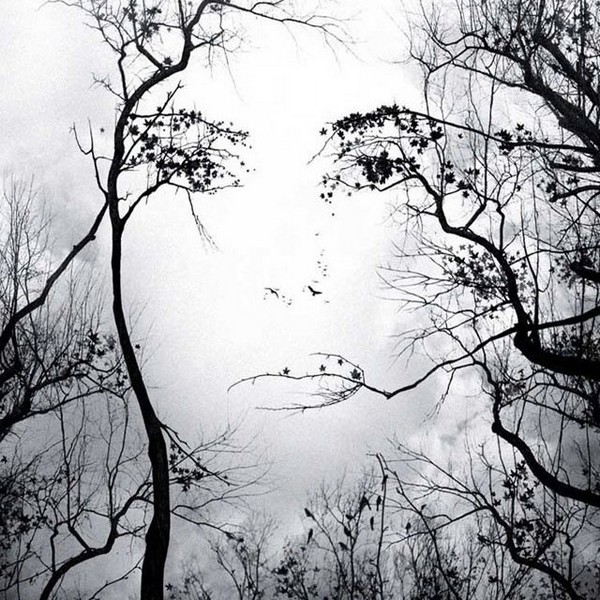 double-image-illusion-womans-face-in-tree-limbs