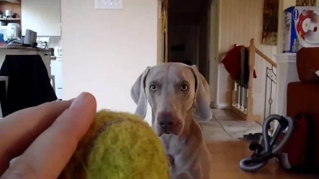 maxresdefault-1