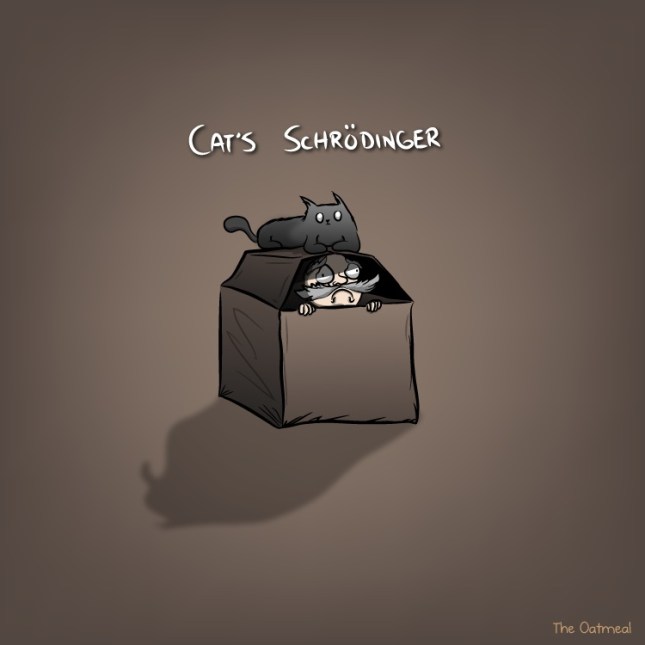 cats_schrodinger-copy