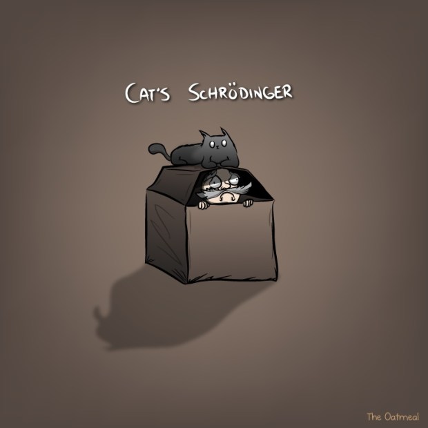 cats_schrodinger-copy
