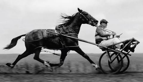 cart-before-the-horse
