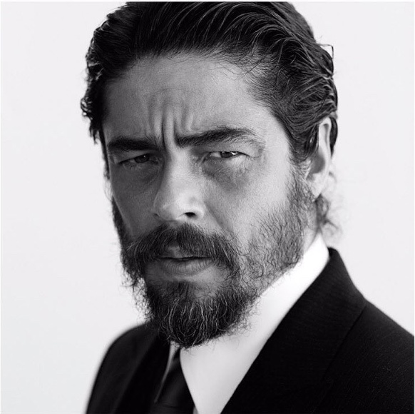 deltoro.jpeg