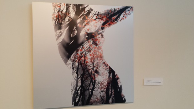 20170219_163100-copy