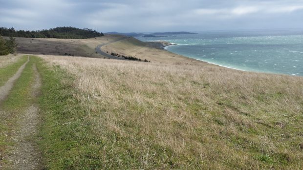 20170318_134333 copy