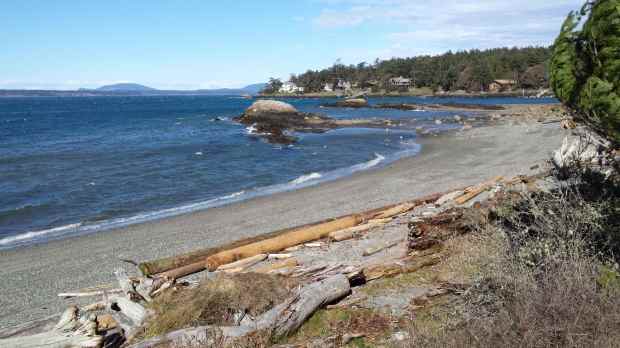 20170318_145452 copy