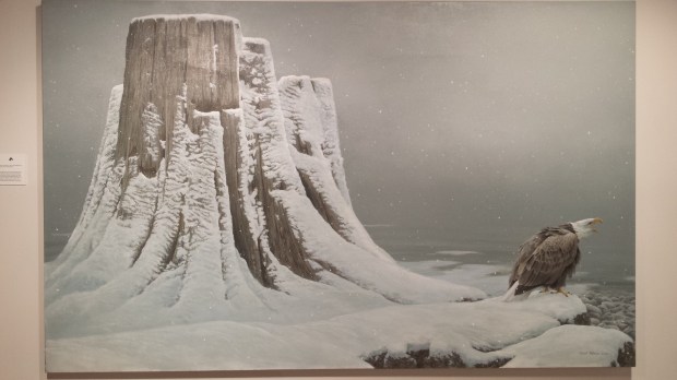 20170323_140333 copy