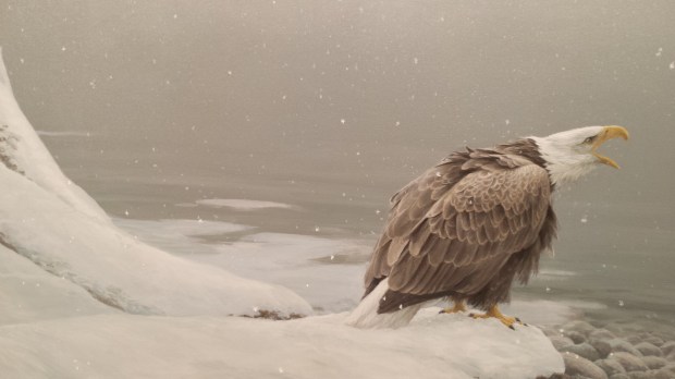 20170323_140344 copy