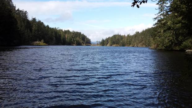 20170325_105826 copy.jpg