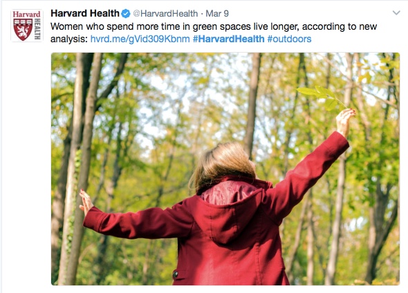 harvard