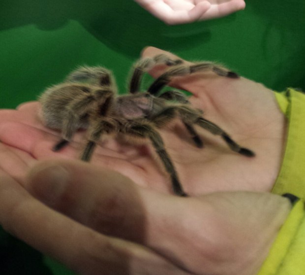 20170402_160826 copy 2