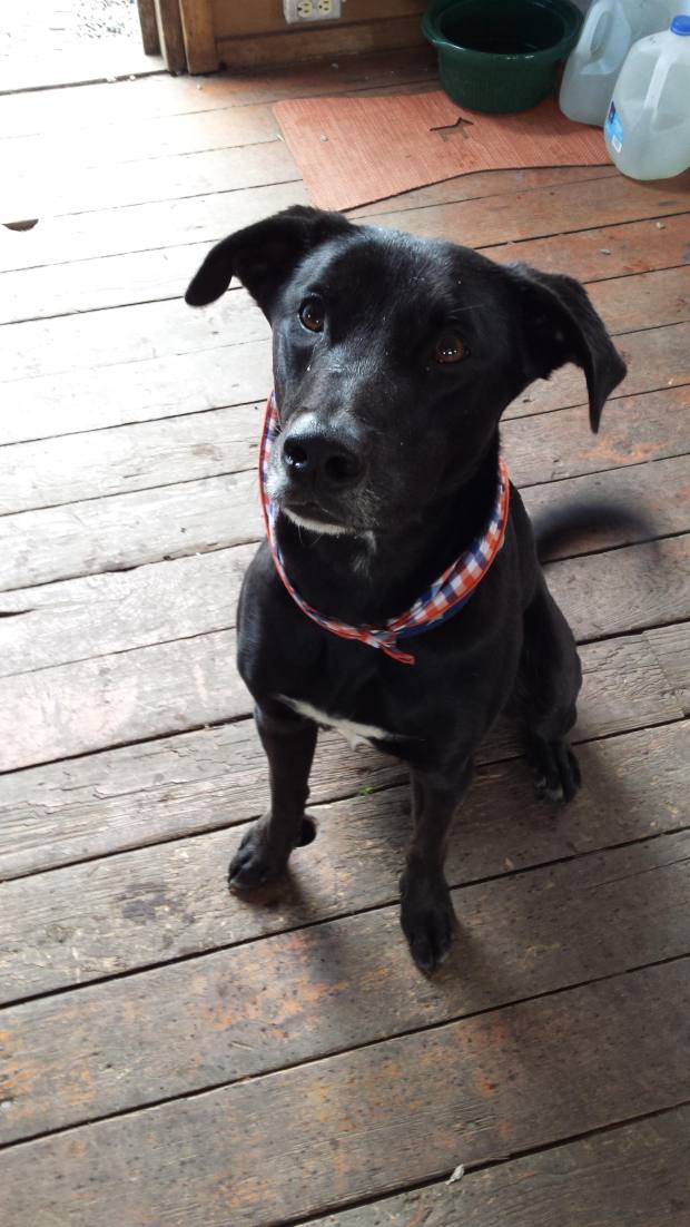 20170408_150123 copy