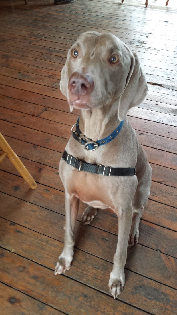 20170408_150203 copy