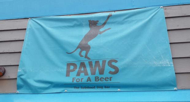 20170408_182412 copy