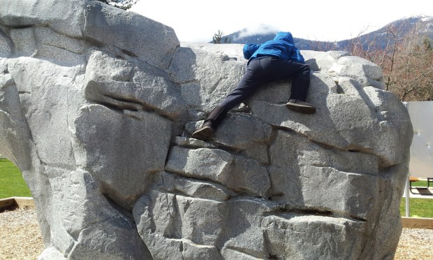 20170417_055906 copy