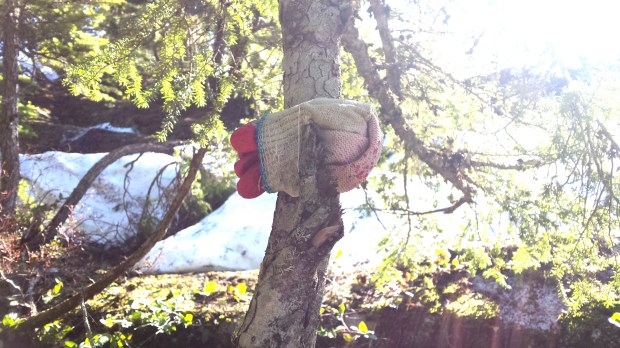 20170507_094913 copy