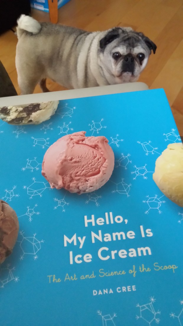 20170610_152958 copy.jpg