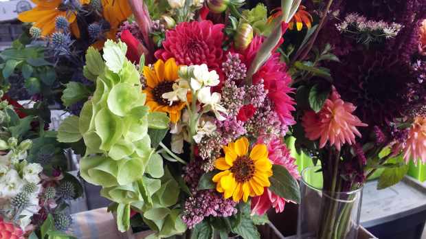 20170812_100613 copy.jpg