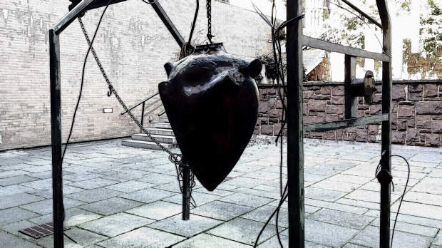 20170927_165644 copy.jpg