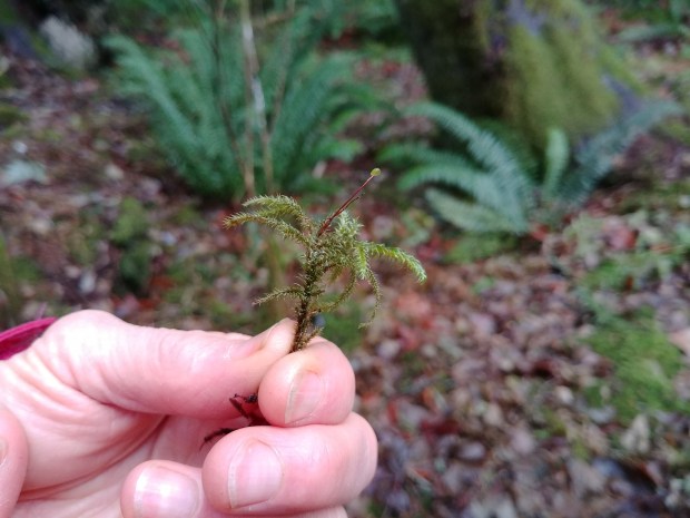 20171126_094557_resized copy.jpg