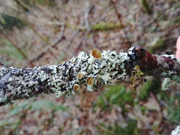 20171126_101109_resized copy.jpg