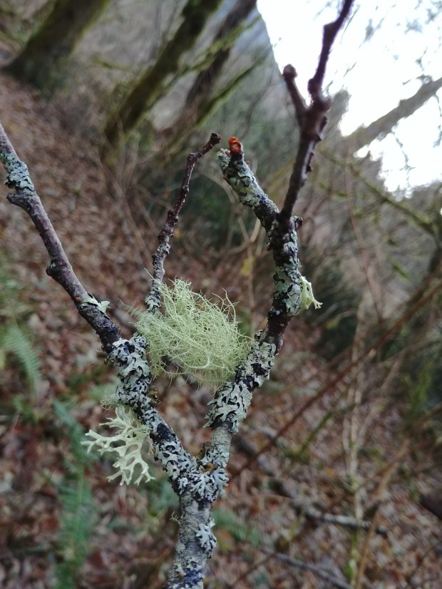 20171126_101202_resized copy.jpg