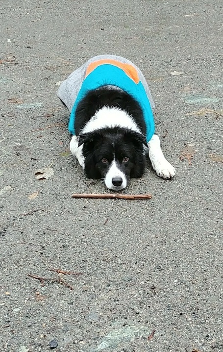 20171126_110143_resized copy.jpg