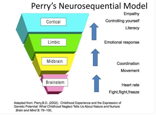 perry.jpeg