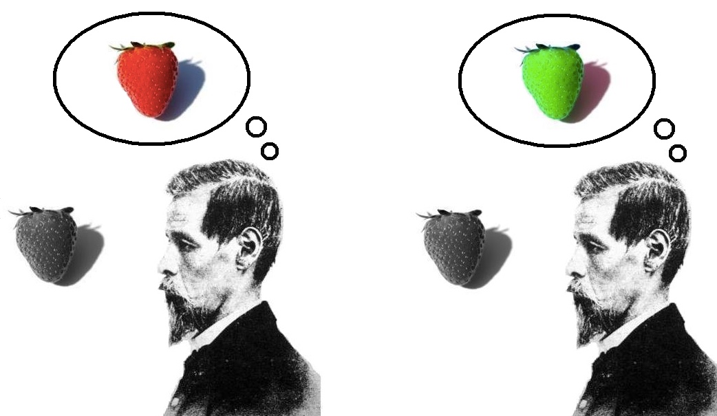 inverted qualia.jpeg