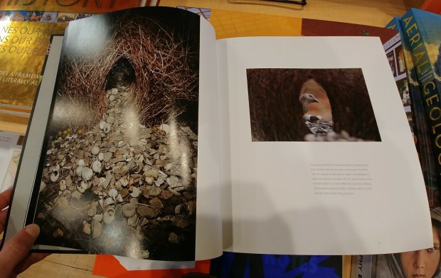 20171217_105809_resized copy.jpg